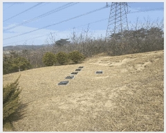  2025Ÿ��27  �Ӿ߰��