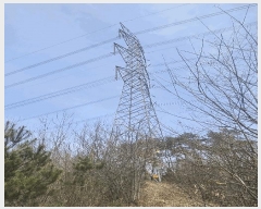  2025Ÿ��27 �泲 ���ֽ� �ߵ� 166-5       ���ð��