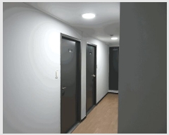  2025Ÿ��29  �ټ���(����)���