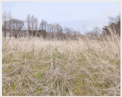  2025Ÿ��42  ����