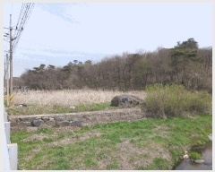  2025Ÿ��42  ����