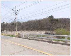  2025Ÿ��42  ����