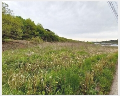  2025Ÿ��42  ����