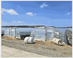  2025Ÿ��47 �泲 ���ֽ� źõ�� �弱�� 320-6      ����(��)���