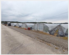  2025Ÿ��47 �泲 ���ֽ� źõ�� �弱�� 320-6      ����(��)���