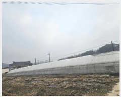  2025Ÿ��53  �����