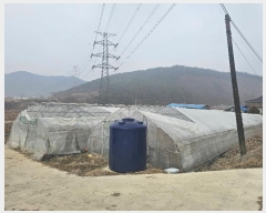  2025Ÿ��53  �����