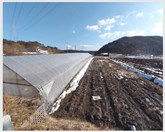  2025Ÿ��53  �����