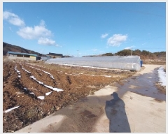  2025Ÿ��53  �����