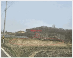  2025Ÿ��54  ����