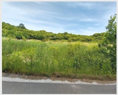  2025Ÿ��54  ����