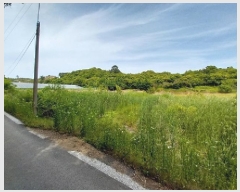  2025Ÿ��54  ����