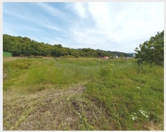  2025Ÿ��54  ����