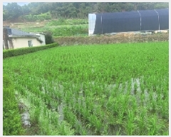  2025Ÿ��66 �泲 ���ֽ� ���ȸ� �¼��� 129-1      ����(��)���