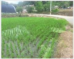  2025Ÿ��66 �泲 ���ֽ� ���ȸ� �¼��� 129-1      ����(��)���