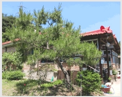  2025Ÿ��70  ���ð��