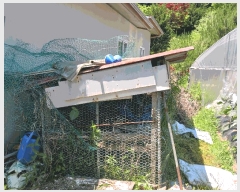  2025Ÿ��70  ���ð��