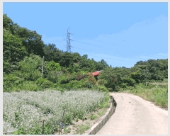  2025Ÿ��70  ���ð��