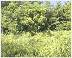  2025Ÿ��72 �泲 ���ֽ� ���ȸ� ��渮 131-3      ����(�Ӿ�)���