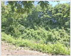  2025Ÿ��72 �泲 ���ֽ� ���ȸ� ��渮 131-3      ����(�Ӿ�)���