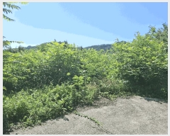  2025Ÿ��72 �泲 ���ֽ� ���ȸ� ��渮 131-3      ����(�Ӿ�)���