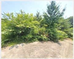  2025Ÿ��72 �泲 ���ֽ� ���ȸ� ��渮 131-3      ����(�Ӿ�)���