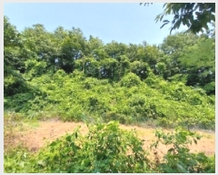  2025Ÿ��72 �泲 ���ֽ� ���ȸ� ��渮 131-3      ����(�Ӿ�)���