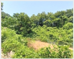  2025Ÿ��72 �泲 ���ֽ� ���ȸ� ��渮 131-3      ����(�Ӿ�)���