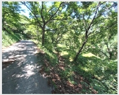  2025Ÿ��76 �泲 ���ֽ� ���ȸ� �¼��� 122      ����(��)���