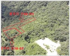  2025Ÿ��82  �Ӿ߰��