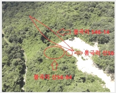  2025Ÿ��82  �Ӿ߰��