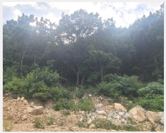  2025Ÿ��82  �Ӿ߰��