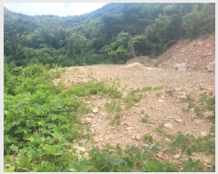  2025Ÿ��82  �Ӿ߰��