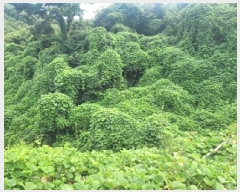  2025Ÿ��82  �Ӿ߰��