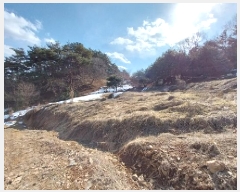  2025Ÿ��20118  ����