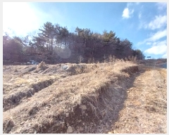  2025Ÿ��20118  ����