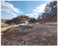  2025Ÿ��20118  ����