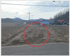  2025Ÿ��20228 �泲 ���ֽ� ������ 499       ����(��)���