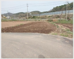  2025Ÿ��20228 �泲 ���ֽ� ������ 499       ����(��)���