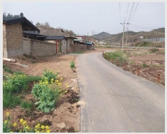  2025Ÿ��20228 �泲 ���ֽ� ������ 499       ����(��)���