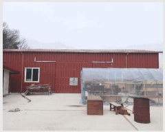  2025Ÿ��20231  â�����