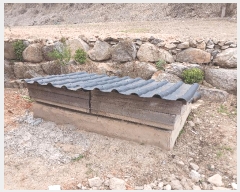  2025Ÿ��20231  â�����