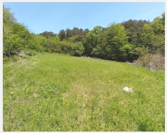  2025Ÿ��20239 �泲 ���ֽ� �켺�� ��õ�� 314      ����(��1)���