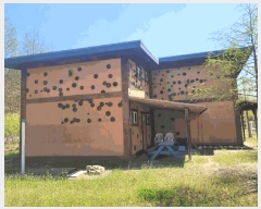  2025Ÿ��20246  ���(ķ����)���