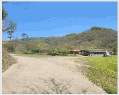  2025Ÿ��20246  ���(ķ����)���