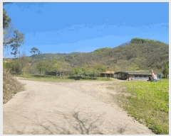  2025Ÿ��20246  ���(ķ����)���