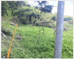  2025Ÿ��20258 �泲 û�籺 ����� ��縮 119-2      ����(��1)���