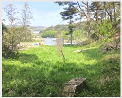  2025Ÿ��20258 �泲 û�籺 ����� ��縮 119-2      ����(��1)���