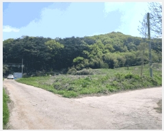  2025Ÿ��20258 �泲 û�籺 ����� ��縮 119-2      ����(��1)���