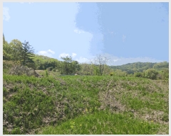  2025Ÿ��20258 �泲 û�籺 ����� ��縮 119-2      ����(��1)���